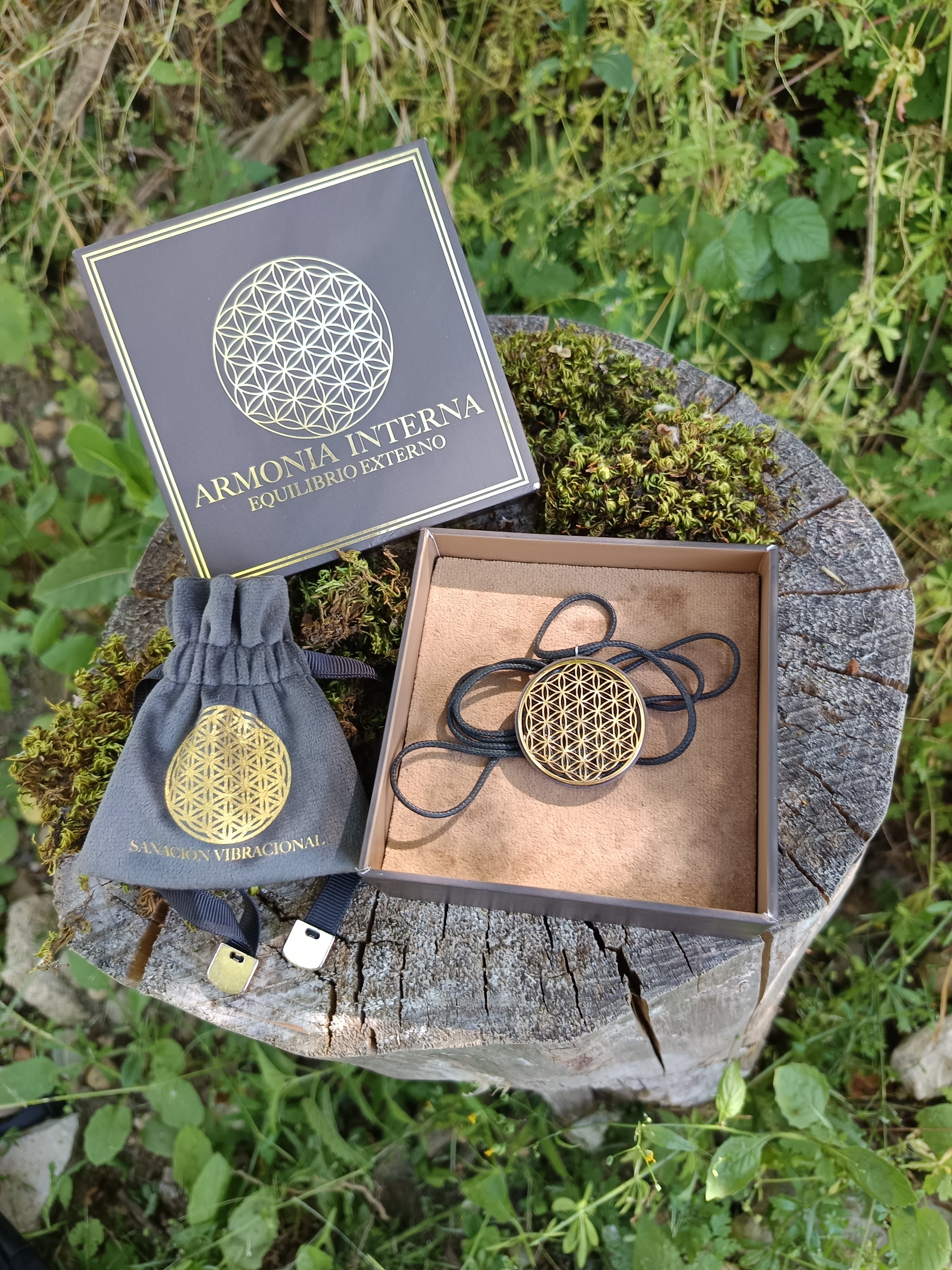 Colgante Orgonitron Diario con medalla de orgonita y cordón ajustable – pack completo con caja de presentación y bolsa de terciopelo, accesorio energético para uso diario